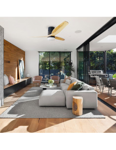 Ventilador techo Kasama con...